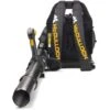 Soffiatore Professionale Con Motore A Scoppio 46cc Zaino McCulloch A Zaino -Pulizia Del Giardino 16168044 1