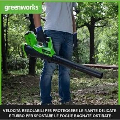 Greenworks Tools 40 V Soffiatore Fogliaceo Assiale A Batteria G40AB, Li-Ion 40V 177 Km/h Potente Soffiatore Assiale Ad Aria Con Controllo Elettronico Della Velocità (1x Batteria 2Ah) -Pulizia Del Giardino 41576110 4
