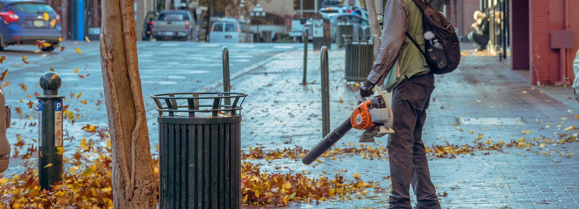 Pulizia Del Giardino -Pulizia Del Giardino pexels vladvictoria 1623214